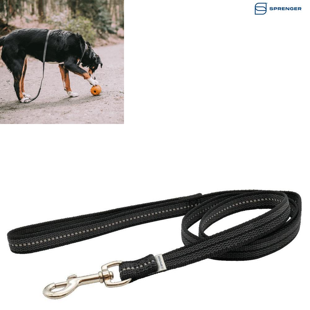 Sprenger Rubberized Leash with Handle повідець з ручкою для собак 19 мм х 2 м (59230_200_71)